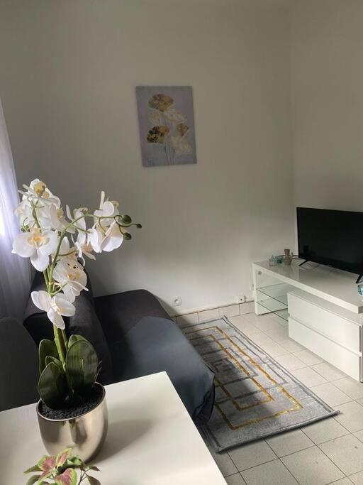 Appartement Cosy 15 Min D'Orly Longjumeau Luaran gambar